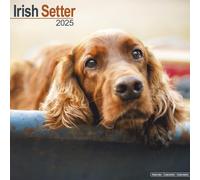 Irish Setter Calendar 2025 Square Dog Breed Wall Calendar - 16 Month 9781804603