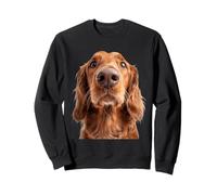 Irish Setter Sweatshirt