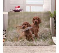 Irish Setter Throw Blanket Animal 3D Print Flannel Fleece Blanket Soft Warm Cozy Blanket for Bed Couch and Sofa Fluffy Plush Blanket for Adults Kids Girls Boys 40"x50"