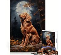 Irish Setter Under Moonlight 1000 Piece Jigsaw Puzzles for Adults Jigsaw Mental Boost Precise Edge Fun Challenge Xmas Idea (50x75cm)