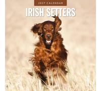 Irish Setters - 2027 Square Wall Calendar - by Red Robin Publishing