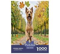 Irish Terrier 1000 Pieces Small Animal Dogs Jigsaw Puzzles with Paper Art Creativity & Gift Giving for Adults And Kids Age 12 Years Up Fun Challenges 70x50cm/1000pcs