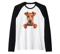 Irish Terrier Funny Peeking Pocket Daredevil Dog Lover Raglan Baseball Tee