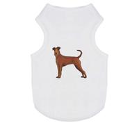 'Irish Terrier' Pet Dog/Cat T-Shirt (PT00095884)