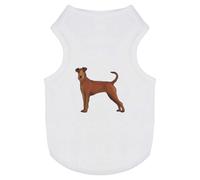 'Irish Terrier' Pet Dog/Cat T-Shirt (PT00095886)