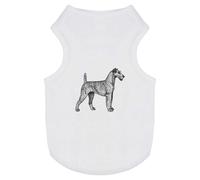 'Irish Terrier' Pet Dog/Cat T-Shirt (PT00135106)