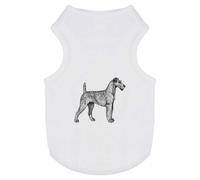 'Irish Terrier' Pet Dog/Cat T-Shirt (PT00135107)
