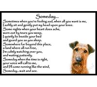 Irish Terrier pet Dog Memorial Magnetic Sympathy Card Gift - Someday
