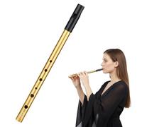 Irish Tin Whistle D, 6 Hole Penny Whistle Gold, Premium Wind Instrument for Beginners, Traditional Celtic Music Whistles
