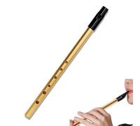 Irish Tin Whistle D, Gold Penny Whistle, Tin Whistle for Beginners, Practice Chanter, Premium Six-Hole Slide,Expert Band Performances, Traditional Musical Instruments & Wind Instruments
