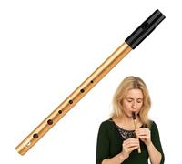 Irish Tin Whistle D Six-Hole Authentic Penny Whistle Musical Woodwind Instrument Key Of D for Beginner Expert Band Performances Perfect for Traditional Celtic Music