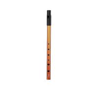 Irish Tin Whistle in D Key, 6-Hole Penny Whistle with Elegant Gold Tone Finish, Irish Instruments - For Beginners, Intermediate Players, and Expert Musicians in Band Performances (Gold)