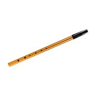 Irish Whistle C Key 6-hole Key of C 6 Holes Flute Penny Whistle Tin Whistle Wind Musical Instruments for Student Beginners Intermediates Experts (Gold)