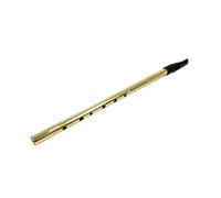 Irish Whistle D Major - 6-Hole Tin Whistle for Beginners | Perfect Straight Recorder for Music Performance(Golden)