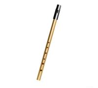 Irish Whistle Flute 6 Hole in C D Bb Key with Bag for Traditional Tunes and Folk Music Playing by Beginners and Experts (Gold D Key)