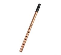 Irish Whistle Flute Alloy 6 Hole in C D Bb Key with Bag and Finger Chart for Learning and Playing Traditional Melodies (Gold C Key)