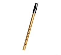Irish Whistle Flute in C D Bb Key 6 Hole For Woodwind Instrument with Carry Bag for Traditional Music Performance and Practice (Gold C Key)