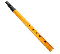 Irish Whistle for Beginners D Key Vertical Flute Portable Brass Instrument with Recorder Mouthpiece for Adults Learning Irish Music