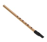 Irish Whistle Penny Tin 6 Holes D Key Portable Musical Toy Instrument, Professional Grade Tin Whistle with Resin Mouthpiece, Gold Metal Body for Kids and Adults
