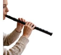 Irish Whistle Professional C/D Key Wind Music