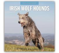 Irish Wolf Hounds 2026 Square Wall Calendar