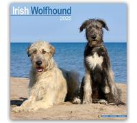 Irish Wolfhound 2025 Square Wall Calendar | Dog Breed Calendar