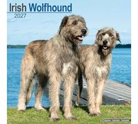 Irish Wolfhound 2027 Calendar | Square Wall Calendar | Dog Breed Gift | Plastic Free Packaging | by Avonside Publishing
