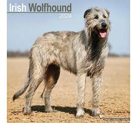 Irish Wolfhound Calendar 2024 | Square Dog Breed Wall Calendar - 16 Month