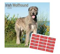 Irish Wolfhound Calendar 2026 | 16 months | with FREE Organisational Stickers, Irish Wolfhound Gift