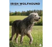 Irish Wolfhound Dog 2026 Calendar, A3, Wirobound, Full Colour