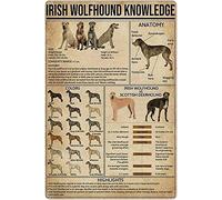 Irish Wolfhound Knowledge Metal Tin Signs Vintage Irish Wolfhound Guide Poster Kennels Infographics Plaques Farmhouse Club Home Wall Decor 8x12 Inches