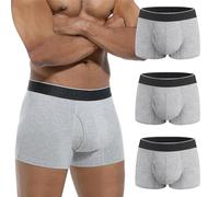 IRISMORII Absorbent Briefs Mens Incontinence Underwear Disposable Front Fly 60 Ml Leak Proof Trunk 3 Pack(3 Gray, M)
