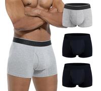 IRISMORII Absorbent Briefs Mens Incontinence Underwear Disposable Front Fly 60 Ml Leak Proof Trunk 3 Pack(Black, Black, Gray, L)