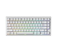 IROK Mars75 Wired Magnetic Switch Keyboard, 75% Layout,0.001MM RT Accuracy, 8KHZ Polling Rate/Latency As 0.125MS/256KHZ Single Key Scan Rate/ARGB，Hot Swappable Gaming Keyboard(White)
