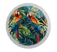 IROLSKDNFH Tropical Birds Parrots Exotic Jungle Plants Glass Cabinet Dresser Knobs for Home Kitchen, Diamond Shaped Cupboard Knobs Pulls Hardware with Stainless Steel Screws, 4 Pack