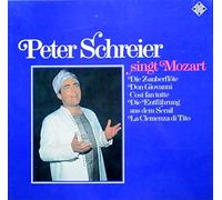 Iron Butterfly - in the crowds 45 rpm single