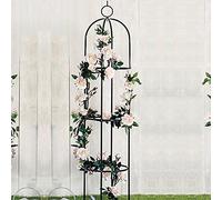 Iron Column Garden Climbing Frame, Rose Pot Holder, Black/white Plant Climbing Frame, Suitable For Roses, Moonflowers, Vegetables And Other Climbing Plants And Flowers ( Color : Nero , Size : 32x150cm