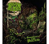 Iron Flesh - Summoning The Putrid [VINYL]