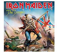 Iron Maiden Canvas (The Trooper Design) Square Canvas Board 40x40cm - Official Merchandise