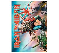 Iron Maiden Poster Flag Trooper