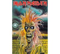 Iron Maiden Poster Textile Flag Eddie Band Logo Official Black 70cm x 106cm One size