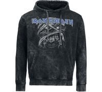 Iron Maiden Powerslave Hoodie charcoal M