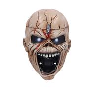 Nemesis Now Iron Maiden The Trooper Bottle Opener, Resin, Officially Licensed Iron Maiden Merch, Eddie Head Bottle Opener, Ready to Be Wall-Mounted, Cast in The Finest Resin, Expertly Hand-Painted