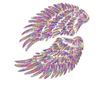Iron-On Patch | 7.68 x 3.15 Inch Wing Repair Applique for Embroidery - Backpack Repair Applique | Tool-free Application Process for Shirt, Hoodie, Shoe, Backpack, Yes