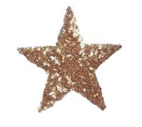 Iron on Patches 12CM Sequin Star Sew Iron On Patches Shining Embroidered Badges for Dress Jeans DIY Appliques Craft Decoration(Gold)
