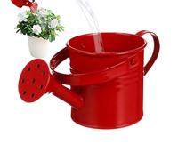 Iron Plants, Watering Cans, Flower Container for Grave, Lightweight Design with Handle, Gardening Accessories for Backyard, Patios, Lawn, Backyards, Family, Friends, and Scene Ornament, 6.68 Inches