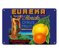 Iron Poster Painting Eureka Brand Florida Citrus The Turner Fruit Company Fruit Crate Label Retro Posteration Funny Metal Sign For Room Living Shop 20X30Cm