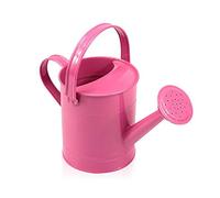 Iron Watering Can Metal Watering Can Metal Watering Can with Nozzle and Handle, Gardening Water Pot Sprinkled Kettle with Anti-Rust Coating for Bonsai Indoors and Outdoors(Pink)