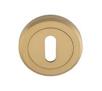 Ironmongery Solutions® Euro and Standard Profile Escutcheon Boxed Door Plate for Key and Lock Architectural Internal & External Use Fixings Included (Satin Brass, Keyhole Profile)