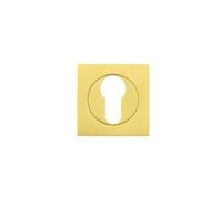 Ironmongery Solutions® Square Euro Profile Escutcheon for Door Cylinder Lock Applications Durable Replacement Hardware Professional Finish Fixing Included (Favo Satin Brass)